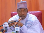 Zan bai wa duk ɗan gudun Hijirar Borno da ya baro Kamaru 500,000- Gwamna Zulum